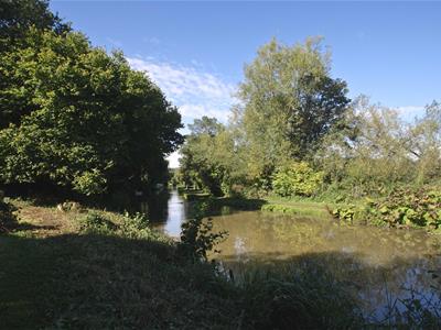 Picture 24